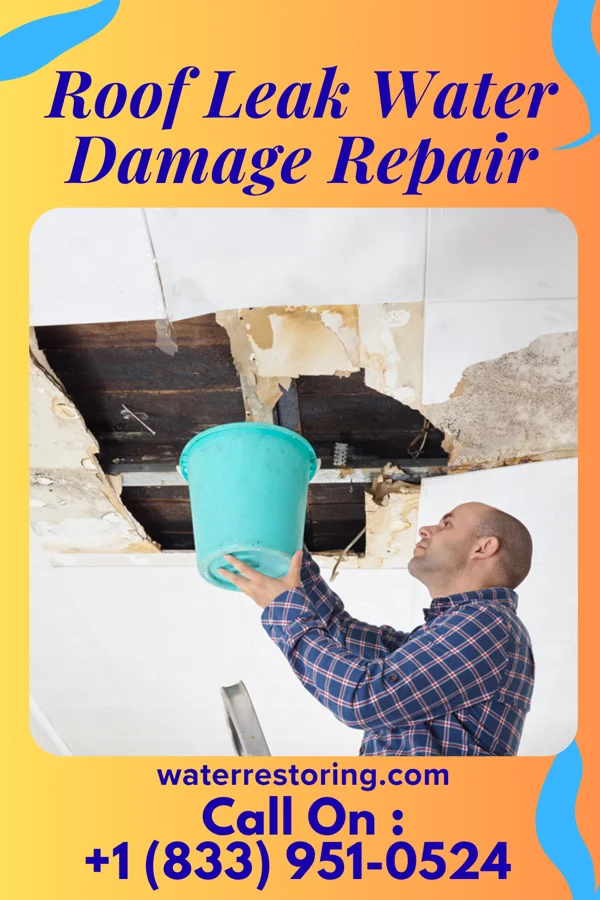 Roof Leak Water Damage Repair in Burr, NE