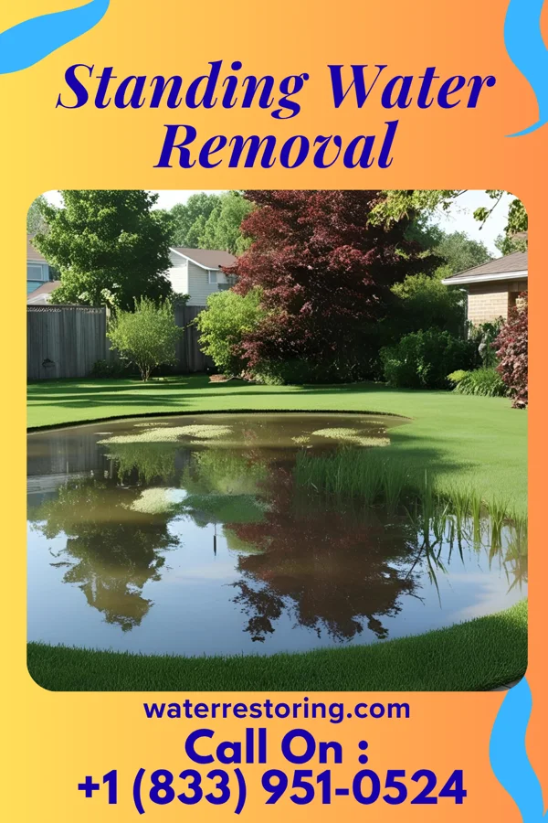 Standing Water Removal in Burr, NE